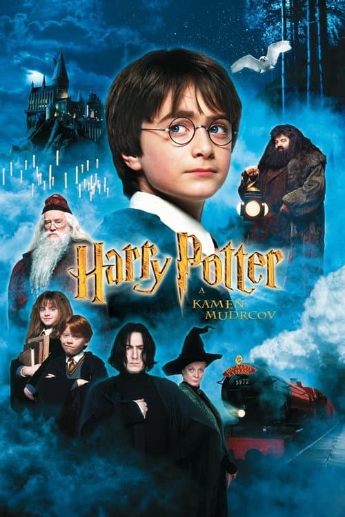 Harry Potter a Kameň mudrcov